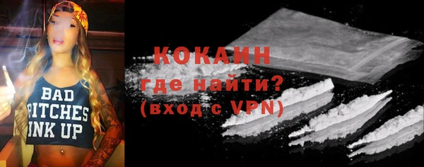 индика Иннополис