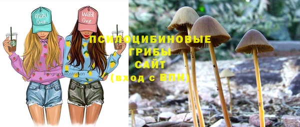 мдма Инсар