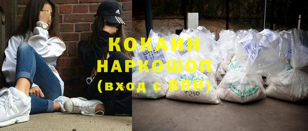 индика Иннополис