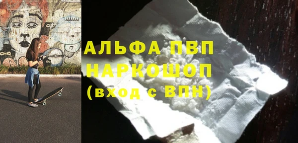 индика Иннополис