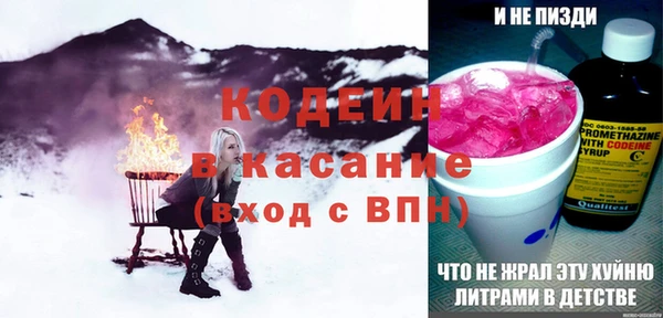 индика Иннополис