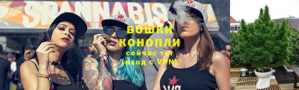 индика Иннополис