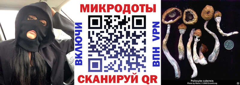 Псилоцибиновые грибы Psilocybe Ленинградская