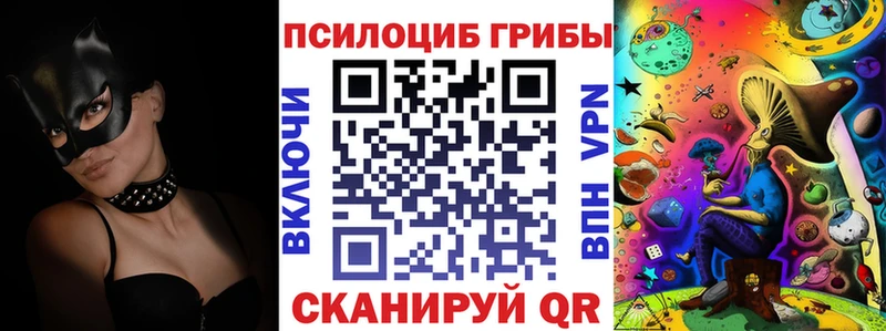 Псилоцибиновые грибы Cubensis  купить наркоту  кракен онион  Ленинградская 